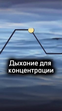 Дыхание для хорошей концентрации, расслабления, хорошего сна. Занятия по йоге на канале #йоги