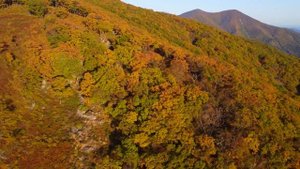 Чёрный куст или соседняя гора г. Находка (аэросъёмка)