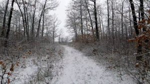 7106354-uhd_3840_2160_30fps