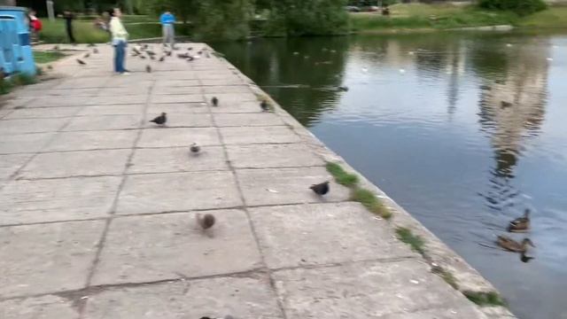 Будни после карантина/ Жду открытия магазинов смотреть онлайн