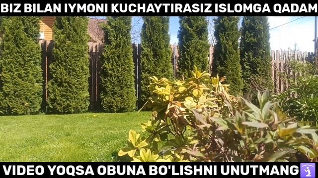ДОЛЗАРБ МАВЗУ БУ ИШЛАР ШАЙТОНГА ХОС Солихон домла Solixon domla