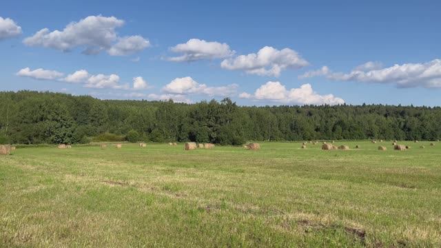 ДОРОГА К ЦЕРКВИ! смотреть онлайн