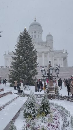 Новогодний Хельсинки, рынок на Сенатской площади #хельсинки