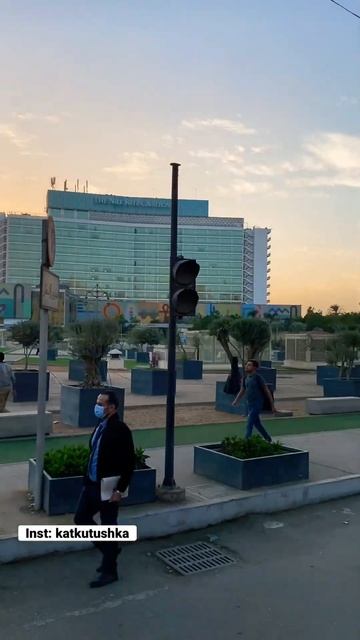 Каир. Катаемся на лошадке по площади Тахрир. Египет. смотреть онлайн