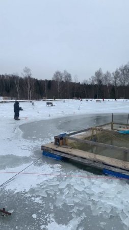 Обзор водоема 22.01.2025