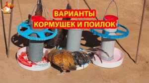 Куриные кормушки поилки варианты (1)