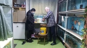 Куда девать бракованных дискусов?