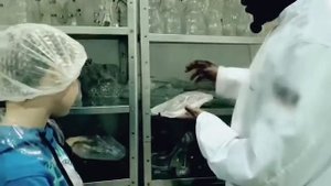 Экскурсия в шоколадное ателье "Злата Розман"