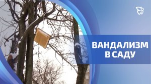 Фруктовый сад Кузьмы Рудого подвергся нападению вандалов