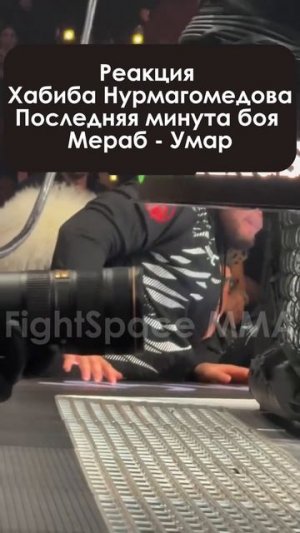 Жесткая реакция Хабиба Нурмагомедова последняя минута боя Мераб - Умар | FightSpace MMA