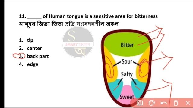 TOP 500 LUCENT GK | PART- 15 | LUCENT GK | Important Questions#lucentgk  #assamcompetitiveexam