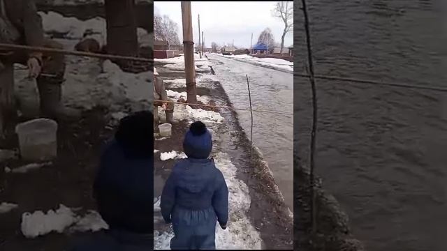 рыбалка