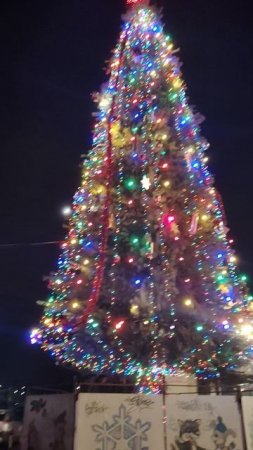 Липецкая Ёлочка🌲