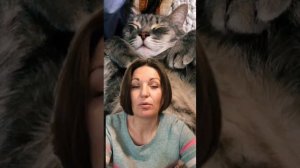 Переезд. Брать кота или нет?