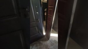 Двухстворчатая дверь. Двойная дверь. В квартиру, в дом +79213271575
