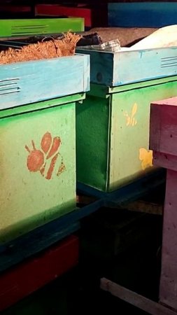 ТЕМПЕРАТУРА В ЗИМОВНИКЕ ВО ВТОРОЙ ПОЛОВИНЕ ЗИМОВКИ