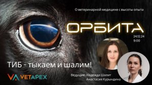 "ОРБИТА" с онкологом Анастасией Курындиной  и специалистом УЗ-диагностики Надеждой Шалит