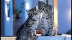 А  Вертинский  Доченьки #стихиодетях #авторскаяпесня #поэты20века