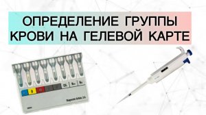 Определение группы крови на гелевой карте