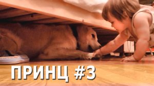 Голдены лучшие друзья детей))))