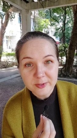 Непереводимое слово 素质