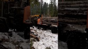 погрузка и вывозка леса.урал лесовоз