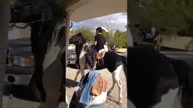 Pancho Lopez rancho смотреть онлайн