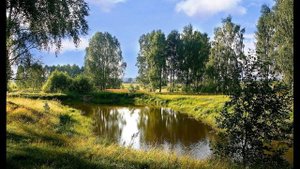 Маризь Кемаль  Вместе мы сильны! #мордовскаялирика#поэтынародовроссии#стихиородине