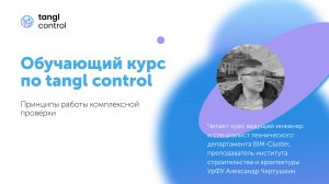[Курс «Tangl Control»] Принципы работы комплексной проверки