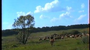 село Почаево   колхоз Красный Октябрь
