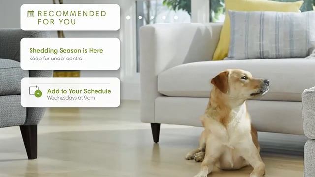 5 Best Smart Robot Vacuum in 2021 [ Robotic Vacuum Cleaner ] смотреть онлайн