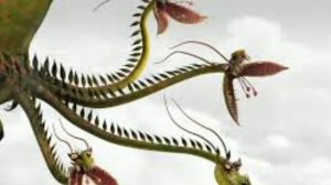 ТУРНИР ДРАКОНОВ. #21. НЮХОХВАТ VS КОШМАРНЫЙ ПРИСТЕГОЛОВ