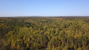 Природный парк «Оленьи ручьи»