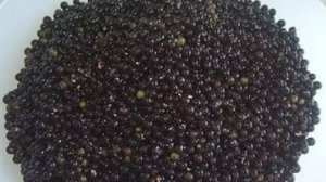 Вареники с паслёном. Маринкины творинки