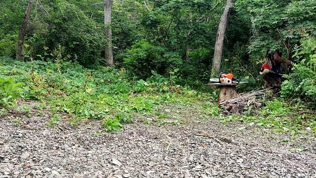 Отпуск 2021 г.