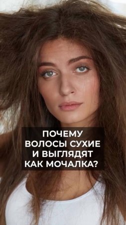 Почему волосы СУХИЕ и выглядят как МОЧАЛКА?