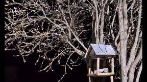 Б Слуцкий  Старухи без стариков #поэзия20века #поэзиясоветскогоандеграунда#ожизни