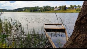 С  Есенин  Край ты мой заброшенный  #стихиородине #поэтысеребряноговека