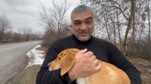 Собака подала голос, но не ожидала, что мы её заберём домой