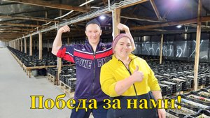 Начало сезона | Выносим тюльпан | Вспоминаем сколько работы было сделано осенью | Привезли тюльпан