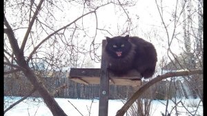 Е Евсеева  История одного шедевра #современнаяпоэзия #стихиожизни