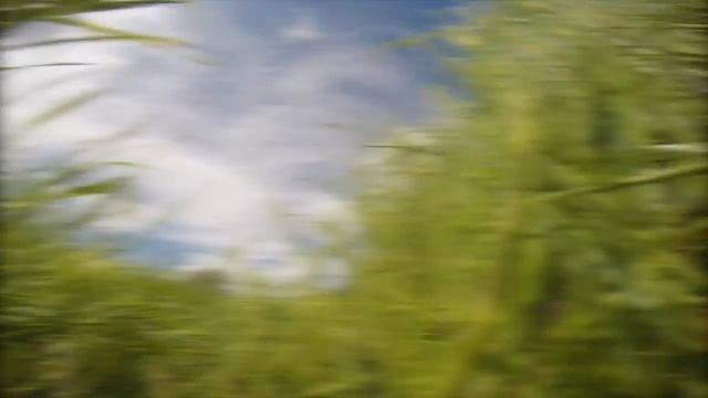 Маша и лошадь смотреть онлайн