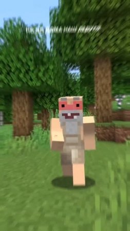 Песня про дедушку и мухомор в minecraft!
