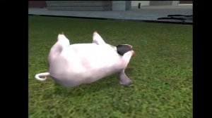 свинья взорвалась и поделетла к окну