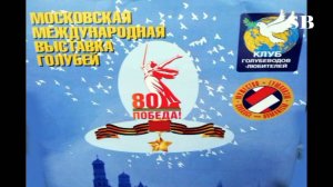 Голуби. Выставка посвящённая 80-летию Победы!