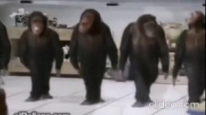 обезьяны поют уу Ааа ууу аа