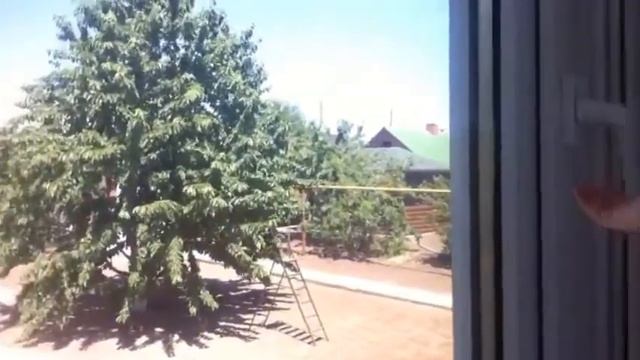 VLOG/ПРИЛЕТЕЛА В РОСТОВ смотреть онлайн