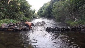 Ловушка для крупной рыбы