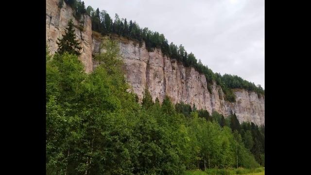 К Чуковский  Айболит #поэты20века #стихидлядетей