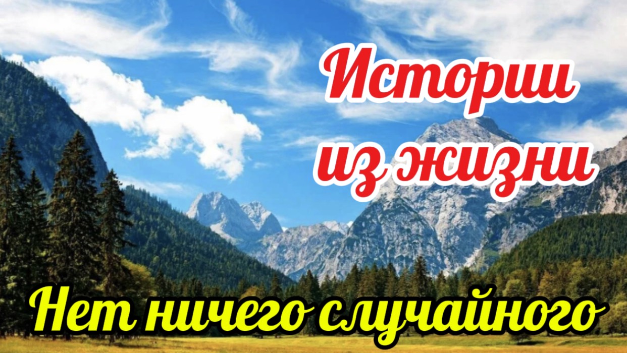 Жизненные истории. Случайности не случайны. Истории из жизни. Рассказы. Слушать аудио рассказы